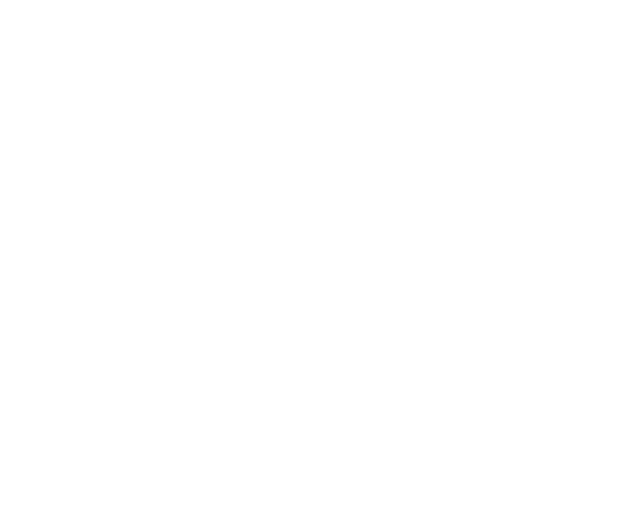 schindler-white