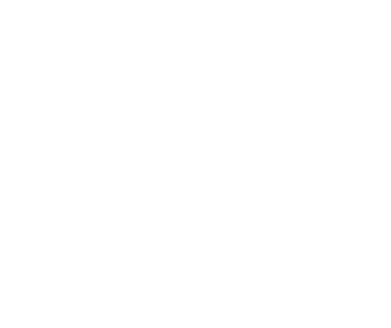 immoflash-white